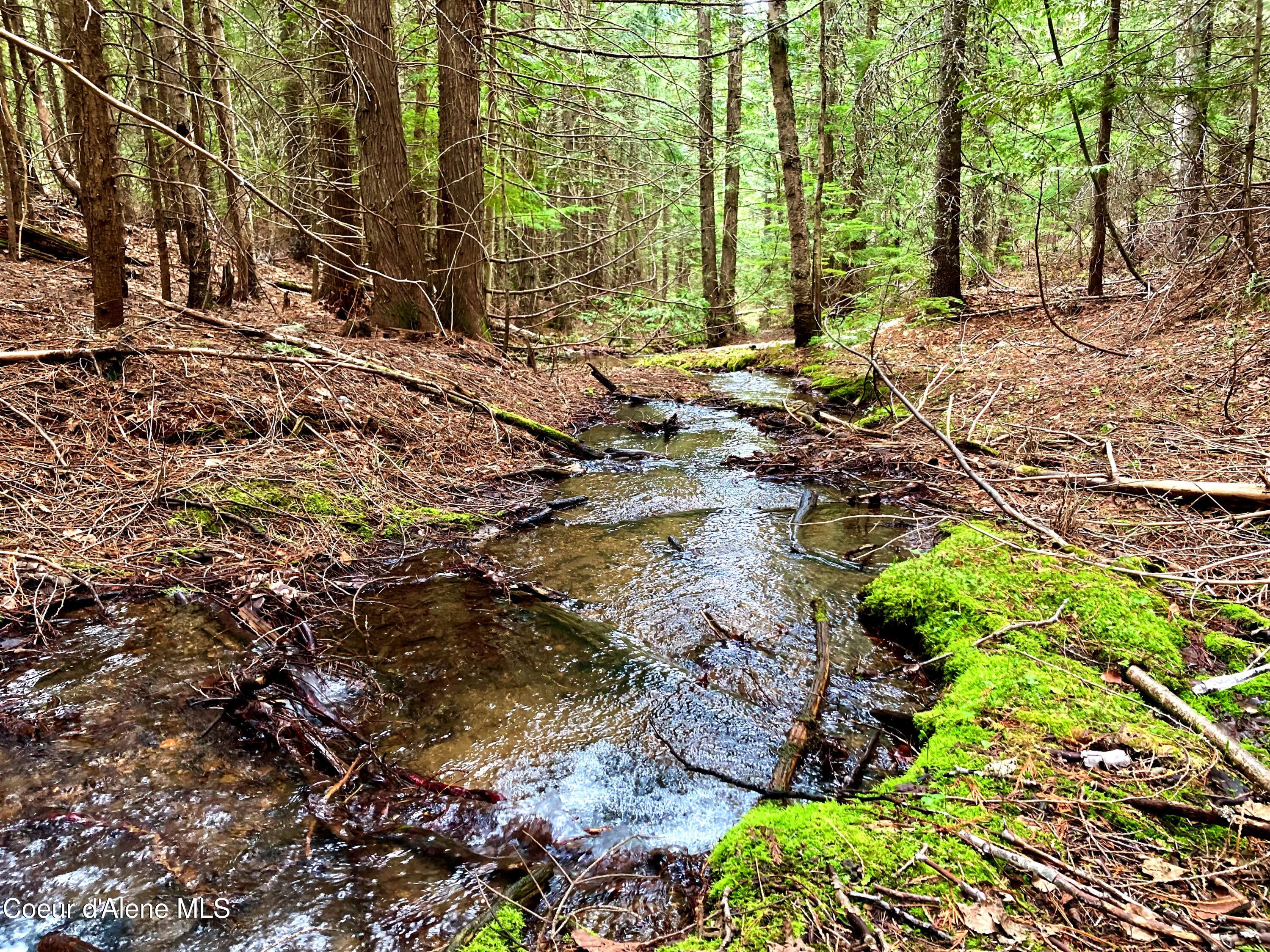 Beautiful seasonal creek!