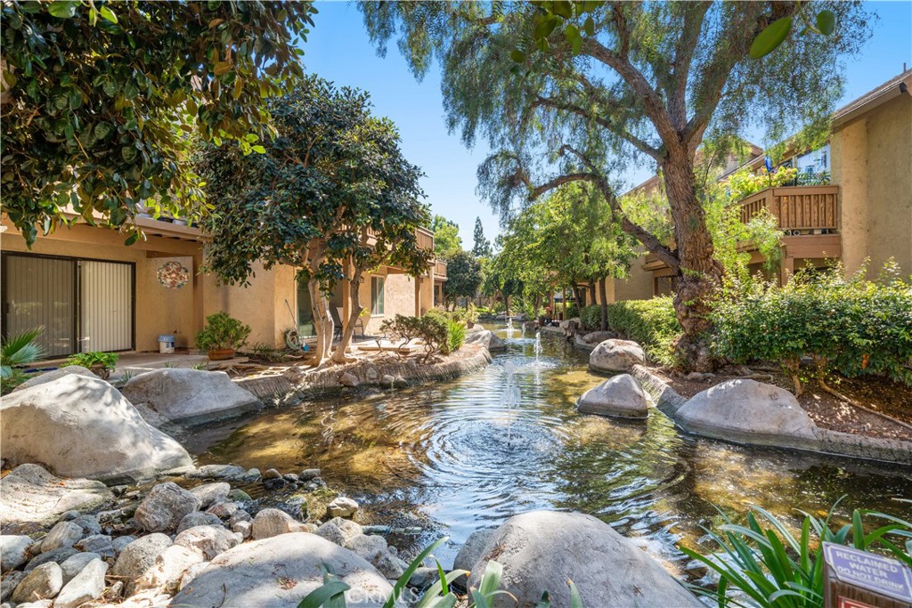 a view of a yard with plants and large trees