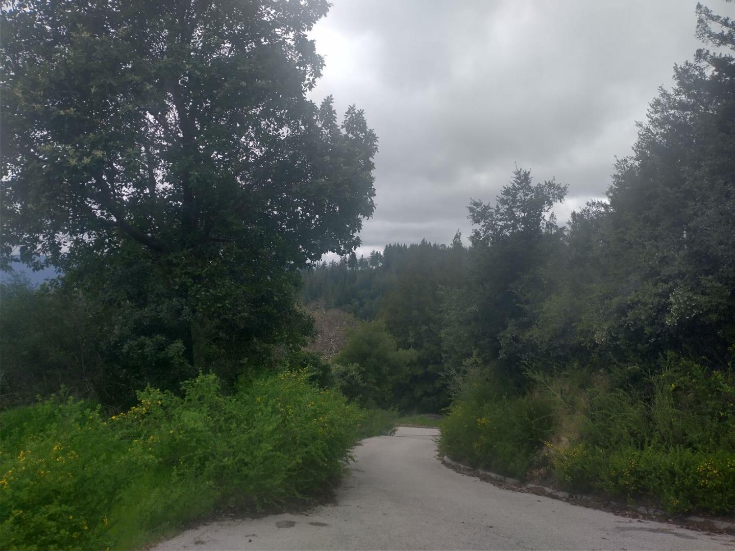 a view of a city with lush green forest