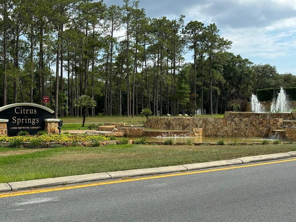 a view of a park with large trees