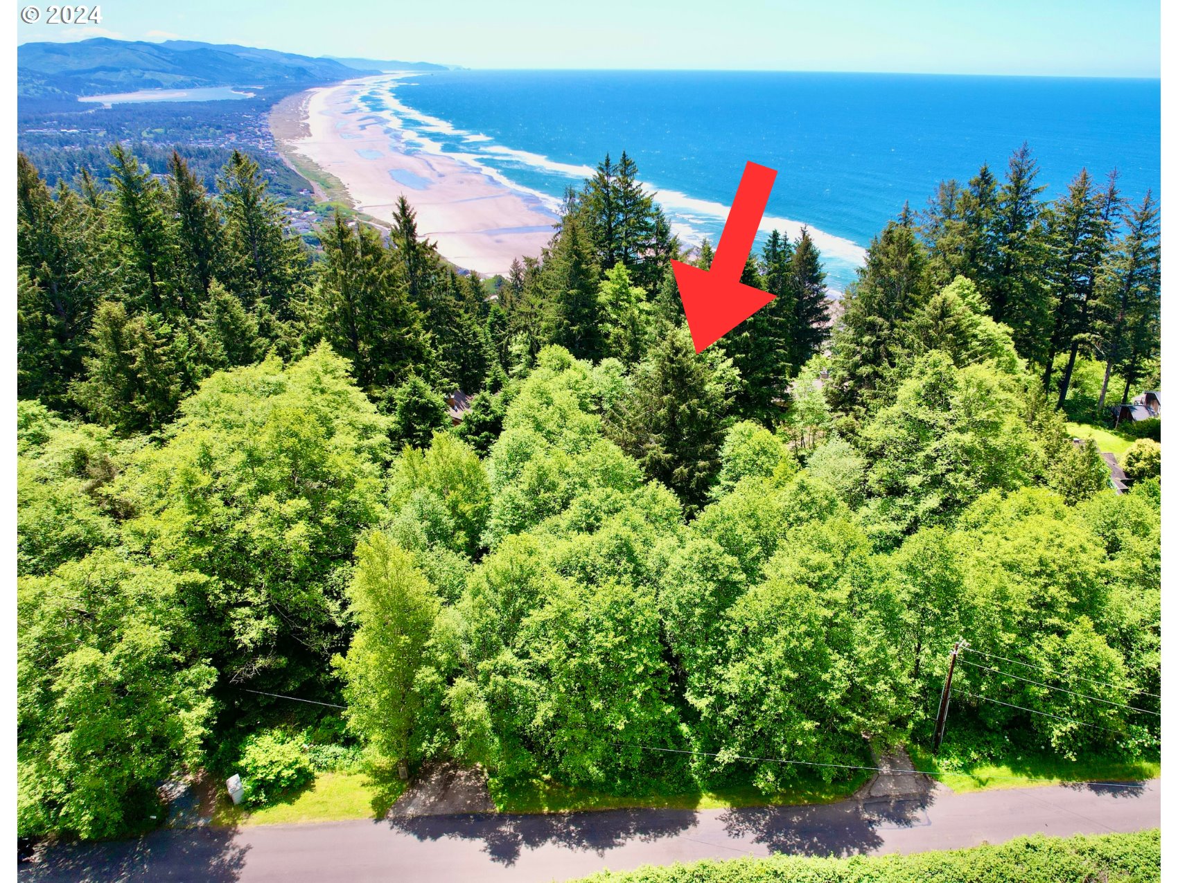 an aerial view of a house with a yard and lake view