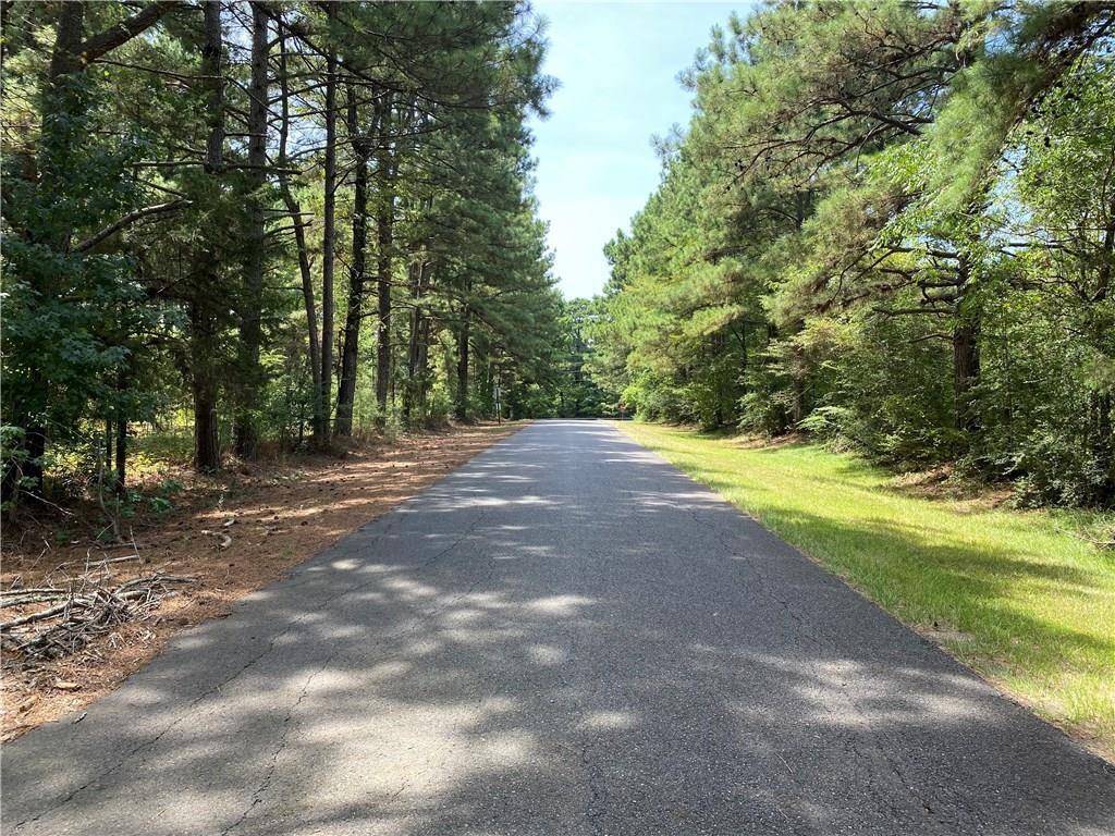 a view of outdoor space with trees all around