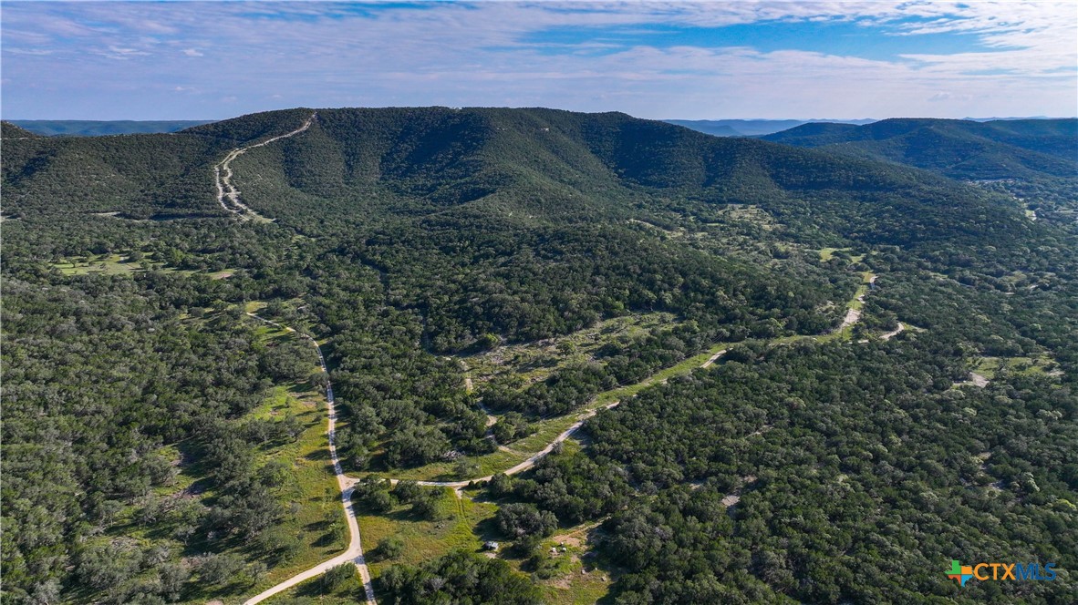 a view of a forest with a forest