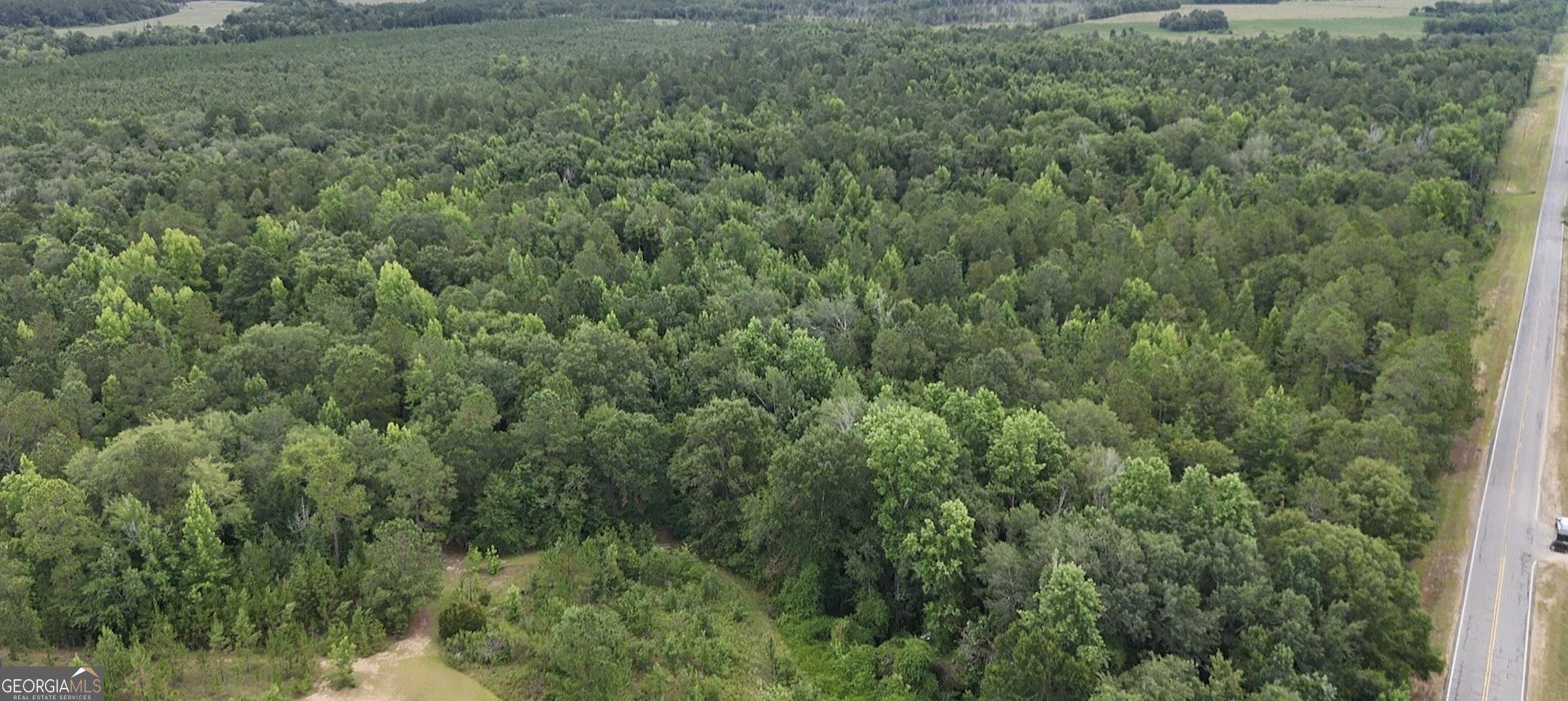 a view of a lush green forest with trees and valleys