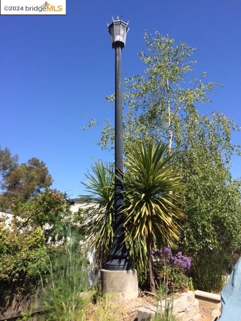 a view of a palm tree front of house