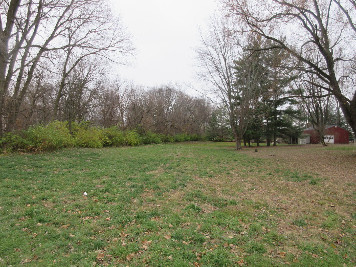 a view of outdoor space with green field and trees