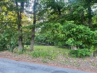 a view of a lush green forest