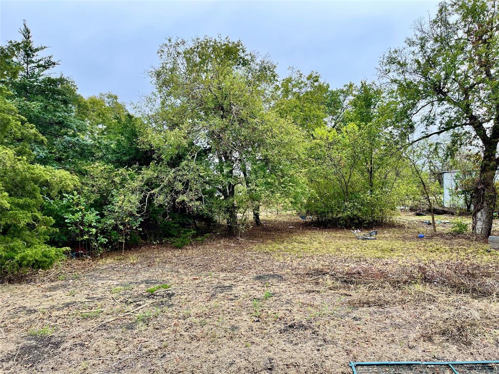 a view of a backyard with trees