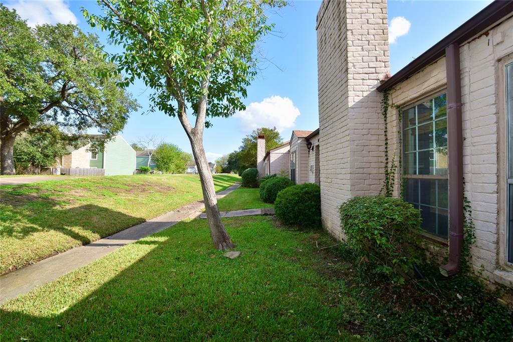 a view of a yard with plants and large trees