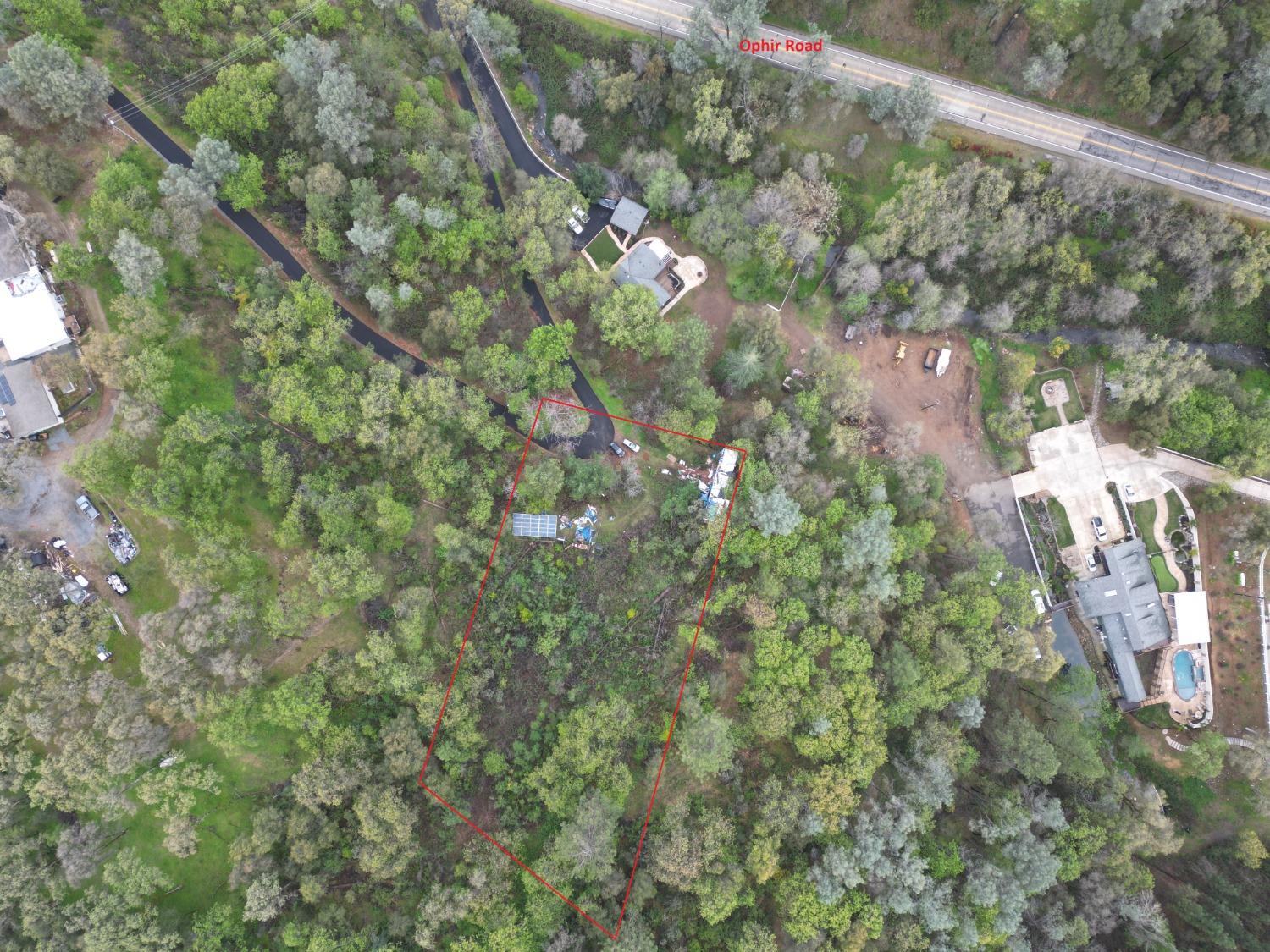 a view of a city with lush green forest