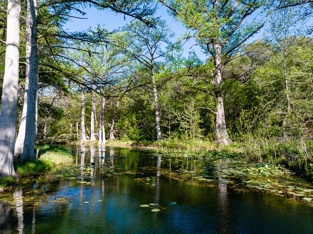 a view of lake