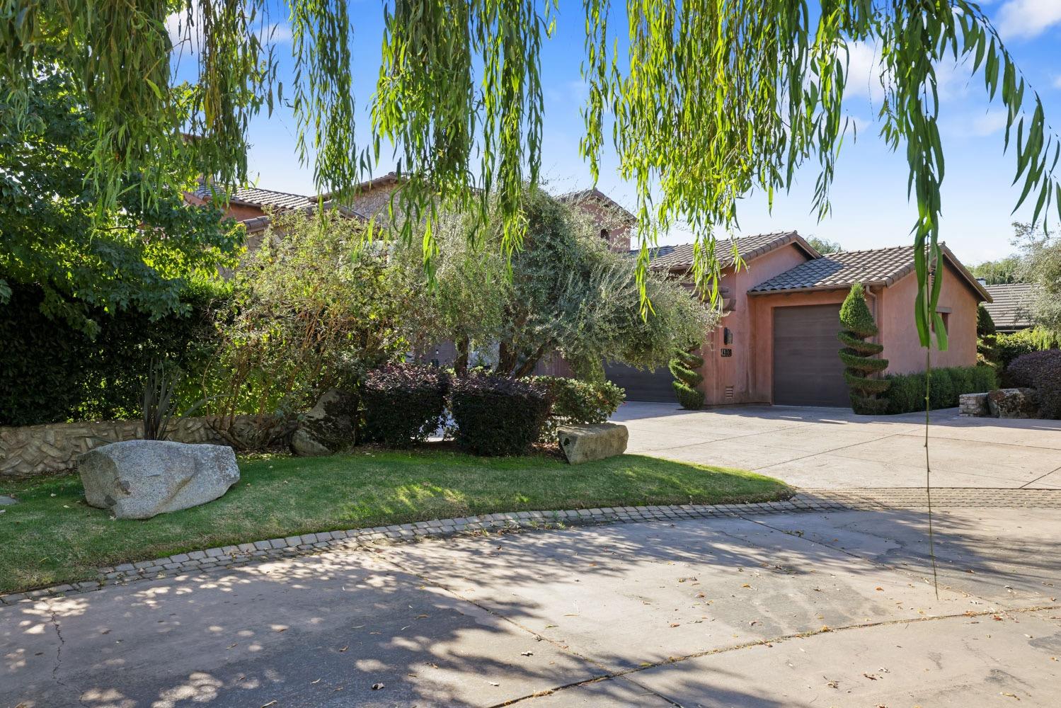 a view of a backyard with plants and a large tree