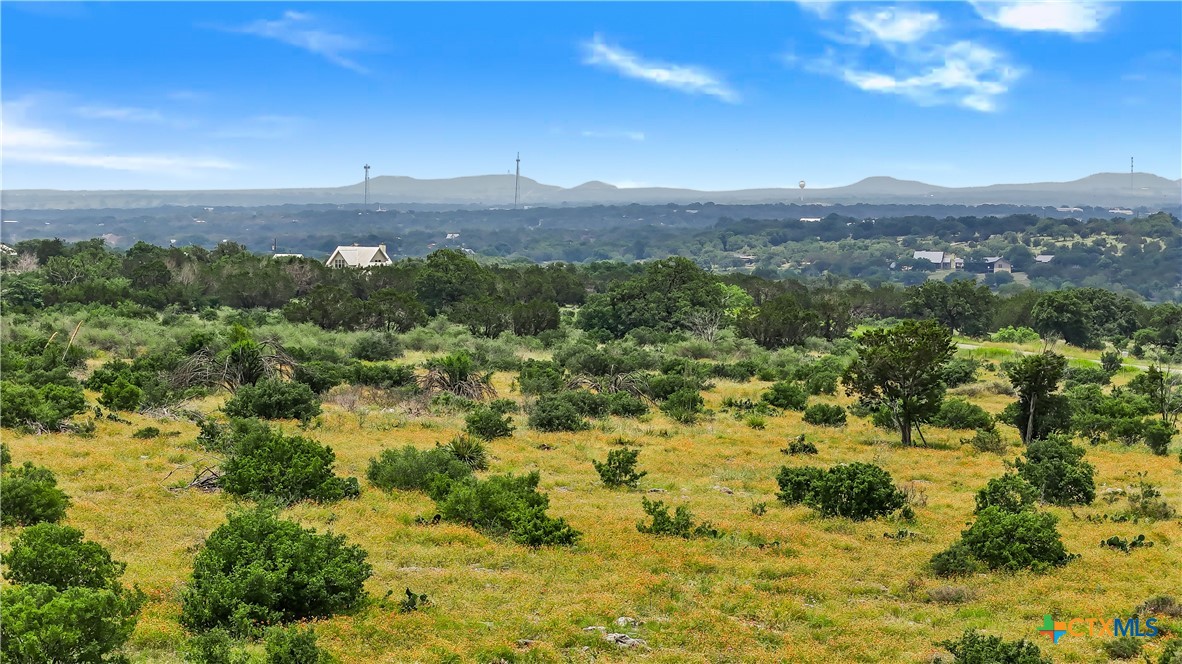 a view of a town with mountains in the background