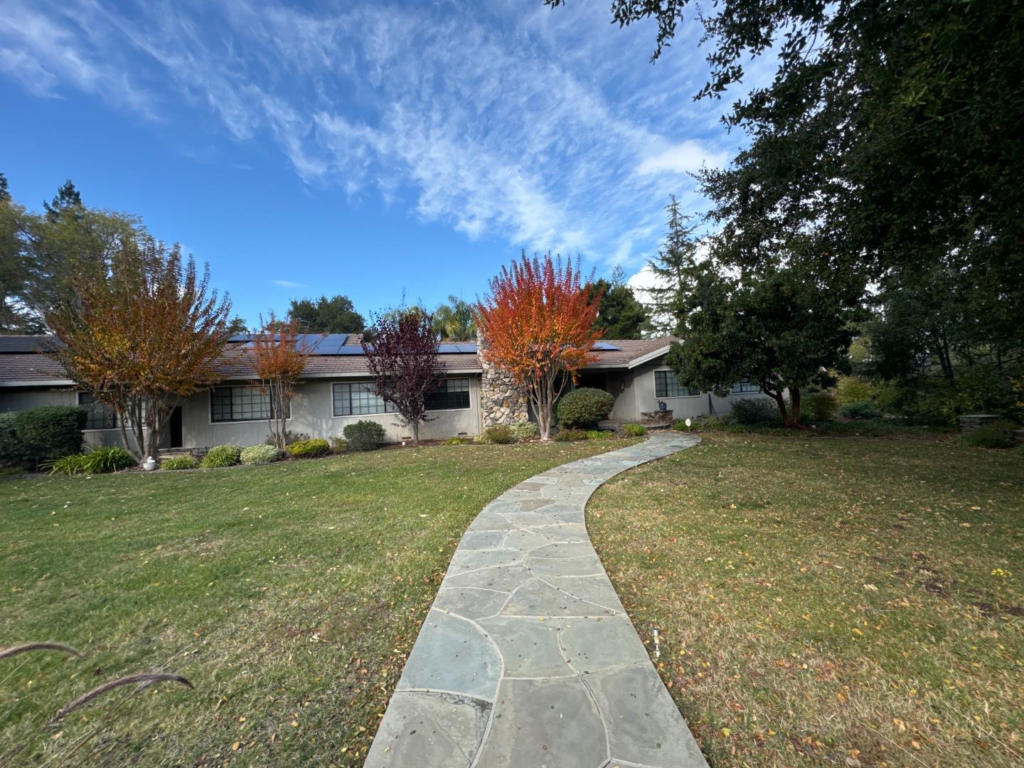 a view of a backyard with a garden and entertaining space