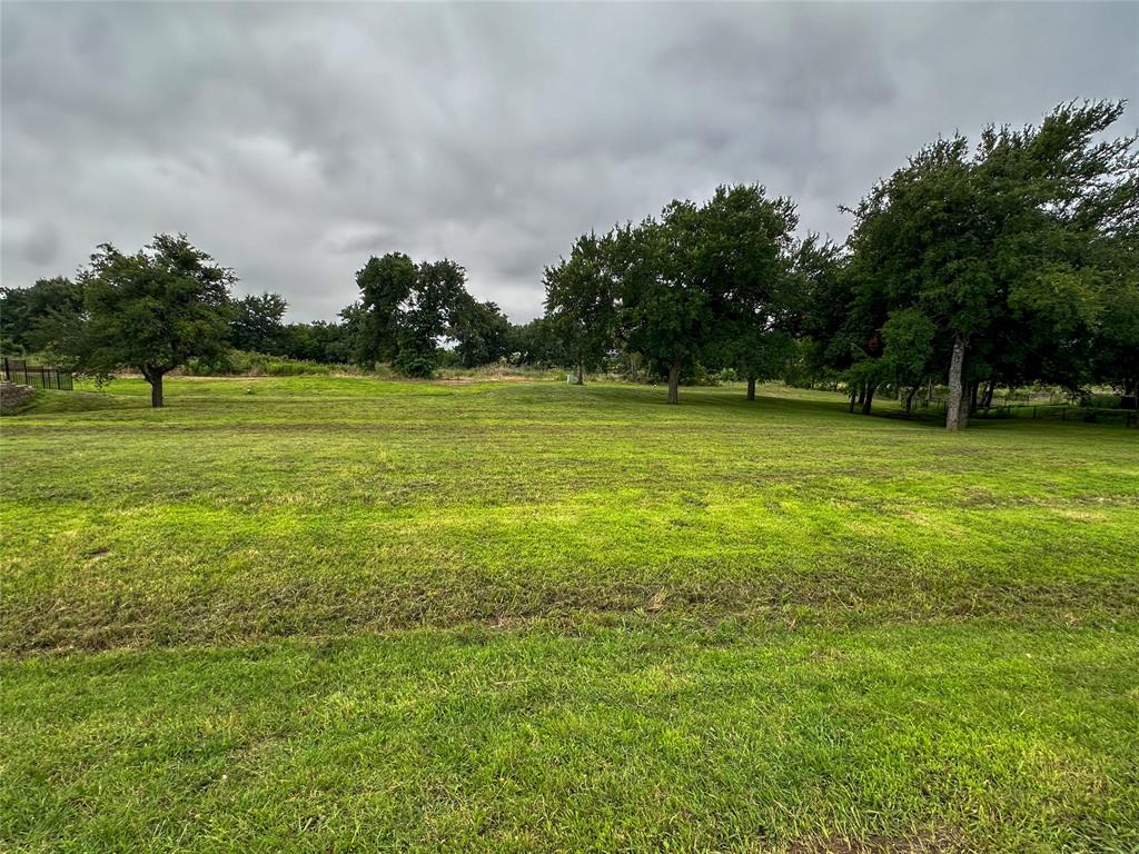 a view of a field with trees in the background