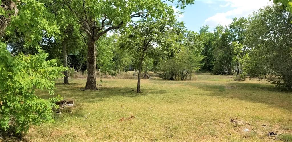 a view of a yard with trees