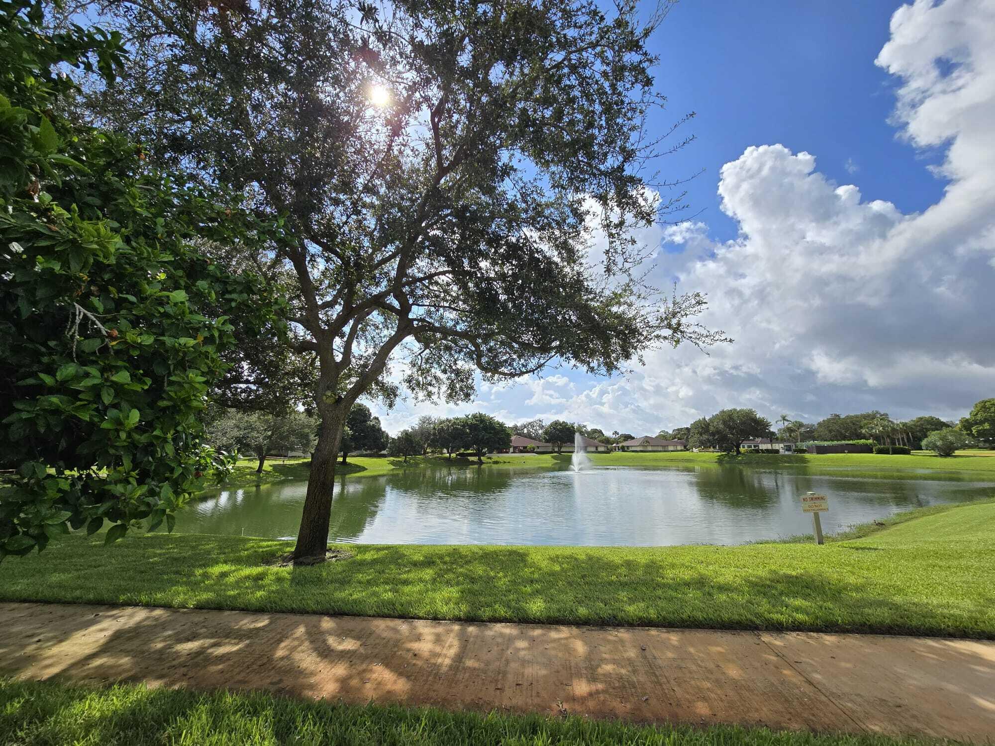 a view of a lake with a big yard and large trees