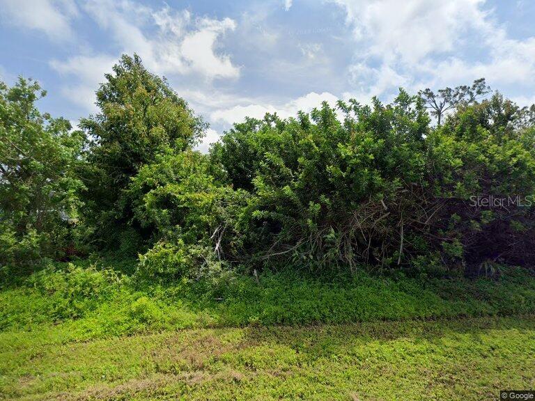 a backyard of a house with lots of green space