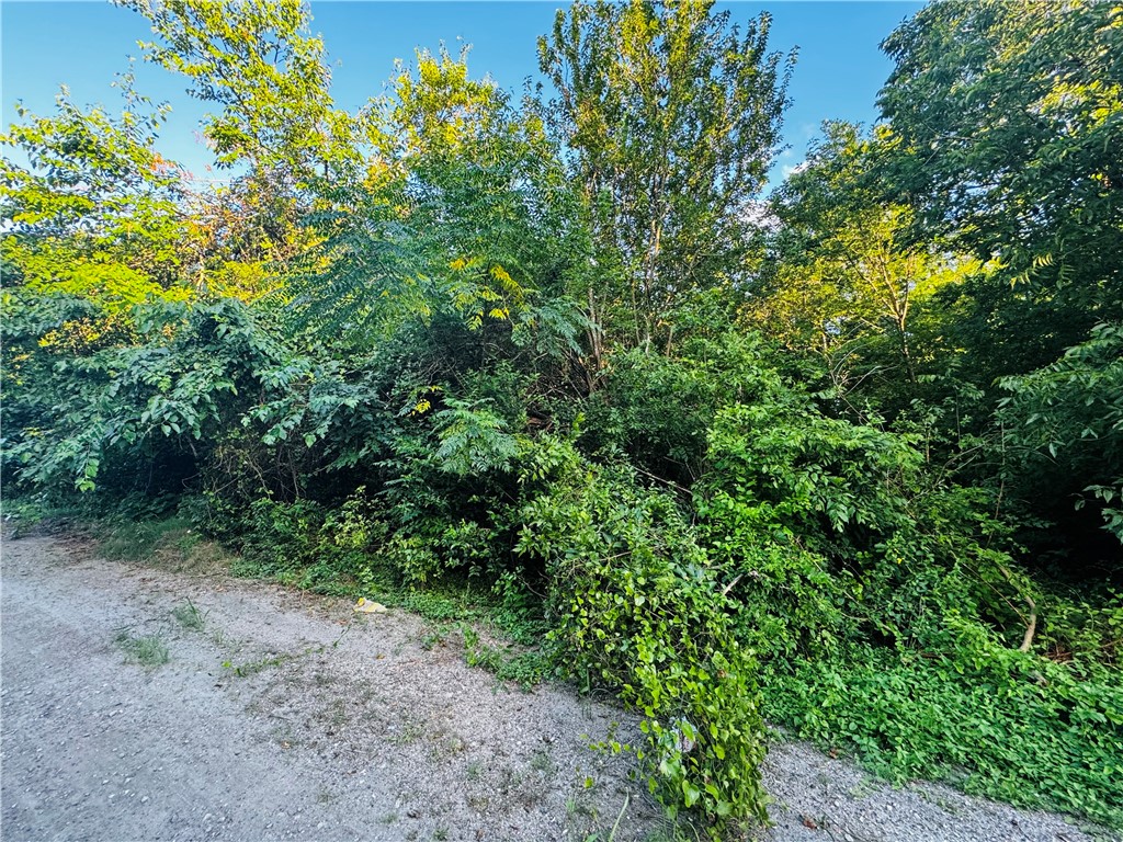 a view of a yard with a tree