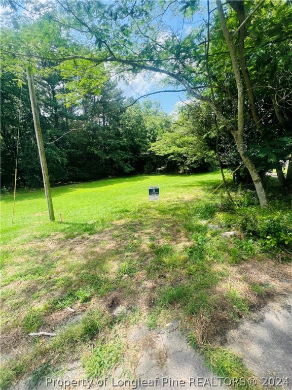 a view of a field with a tree