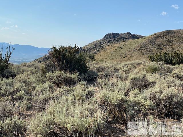 a view of a dry yard with mountains in the background