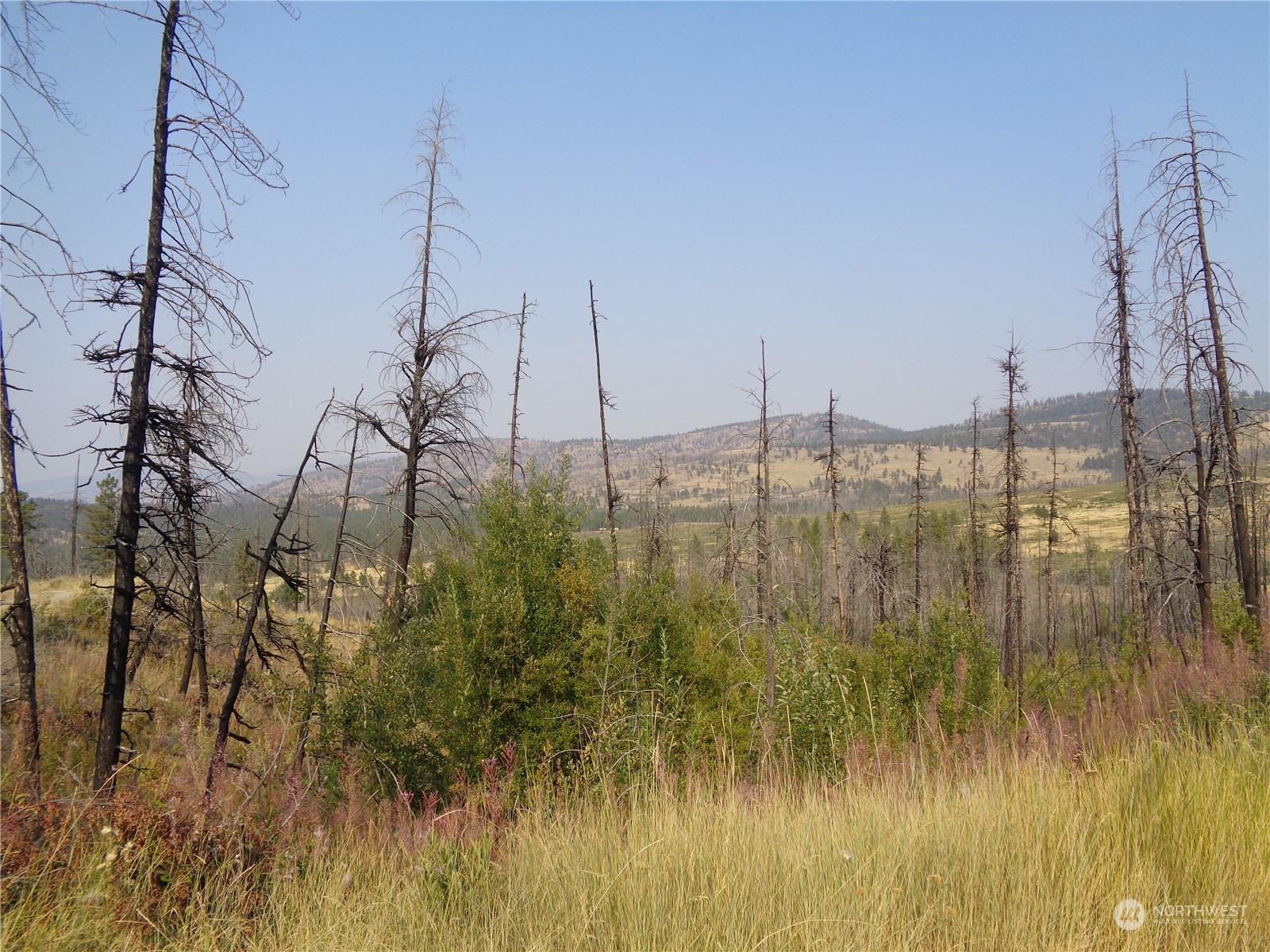 a view of a lake view