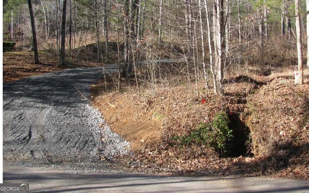 a view of a yard with trees