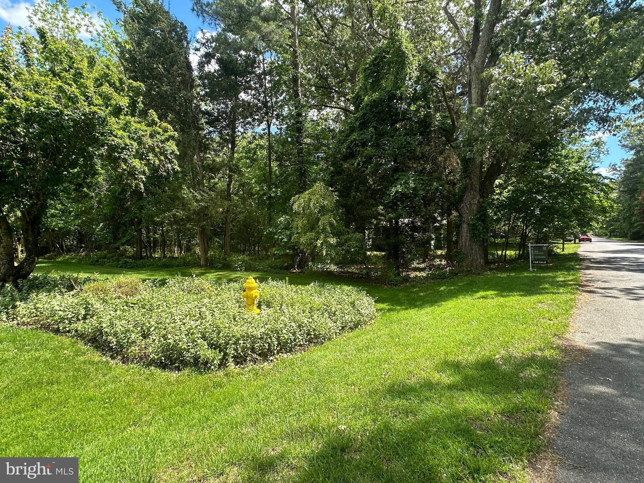 a view of backyard with green space