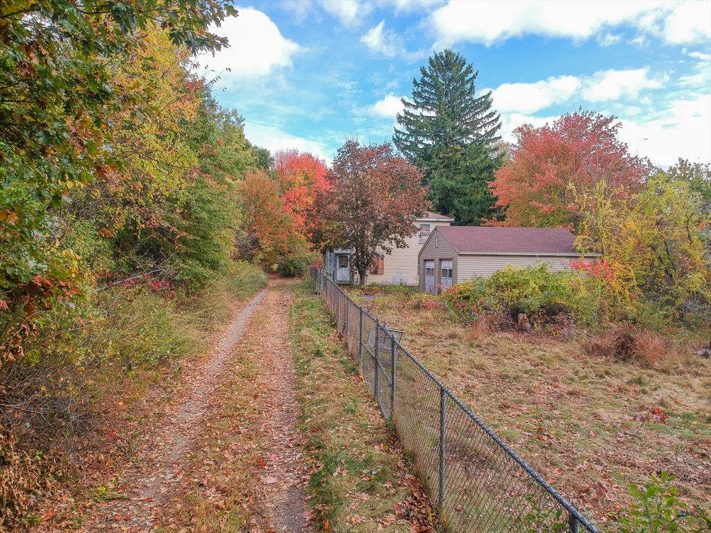 a view of a dry yard with large trees