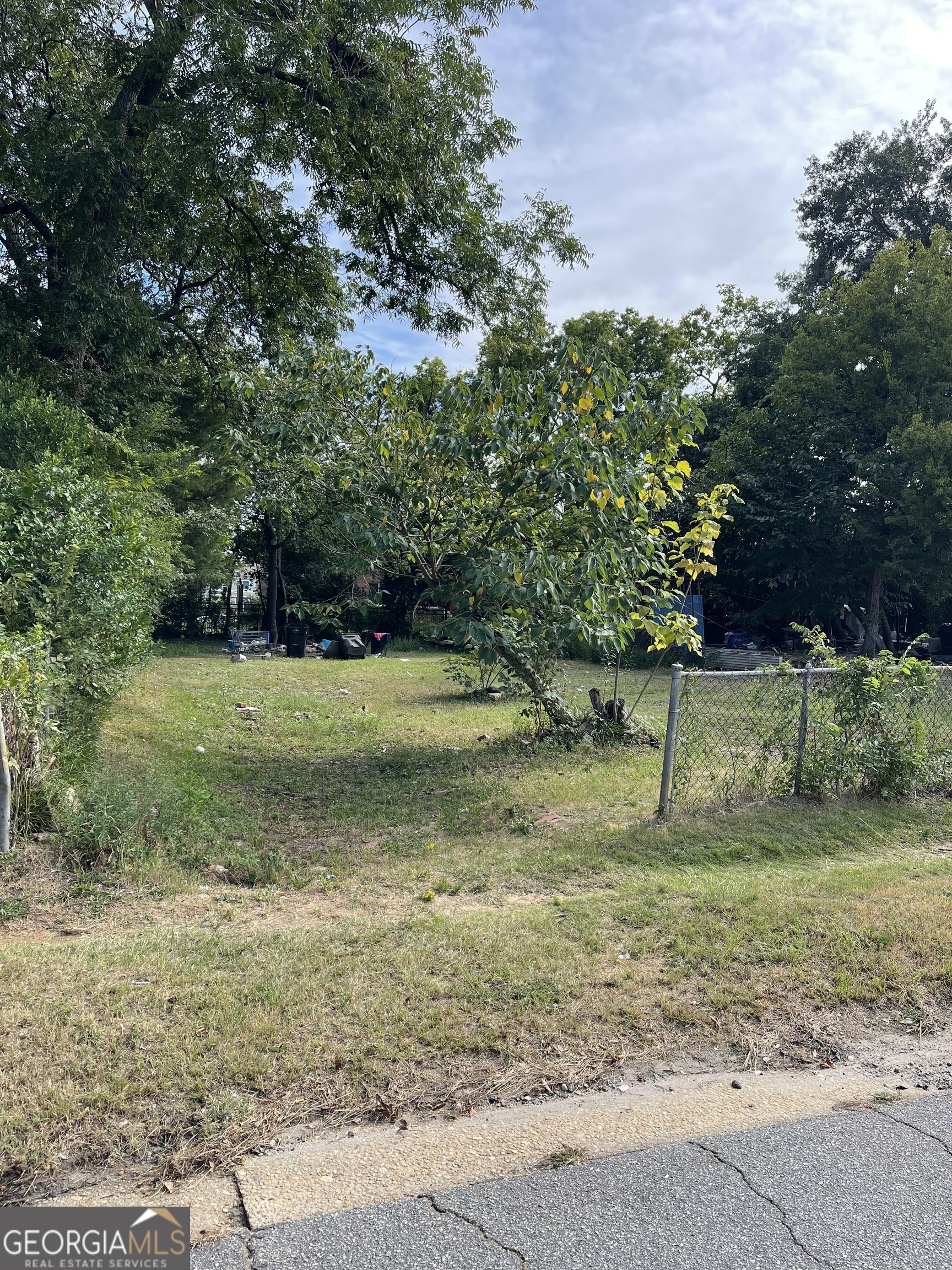 a view of a park with a tree