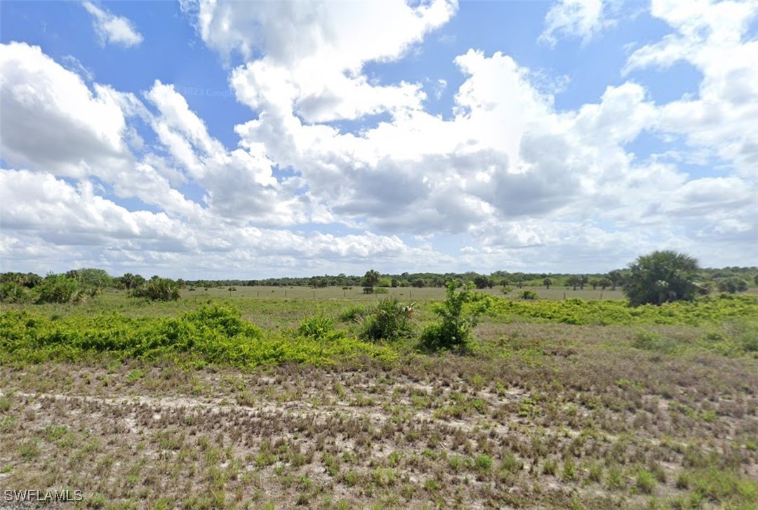 a view of a yard with a garden