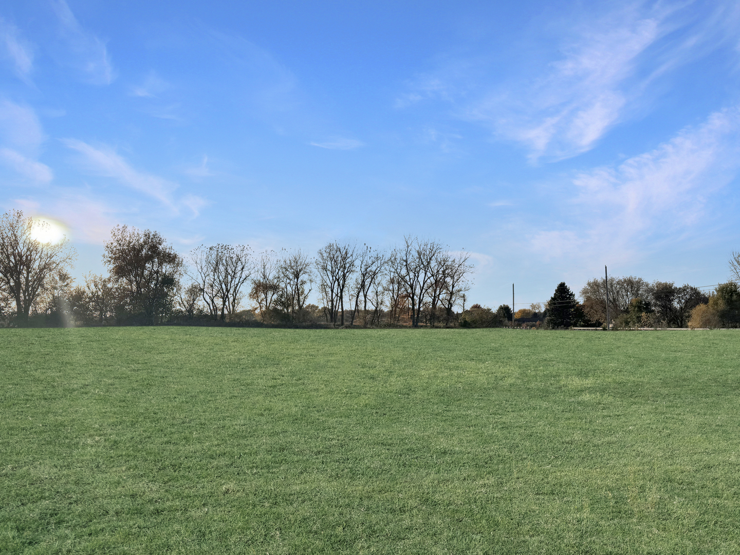 a view of a field with grass and trees