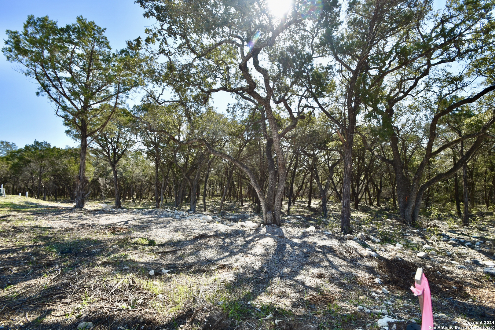 a view of outdoor space with trees