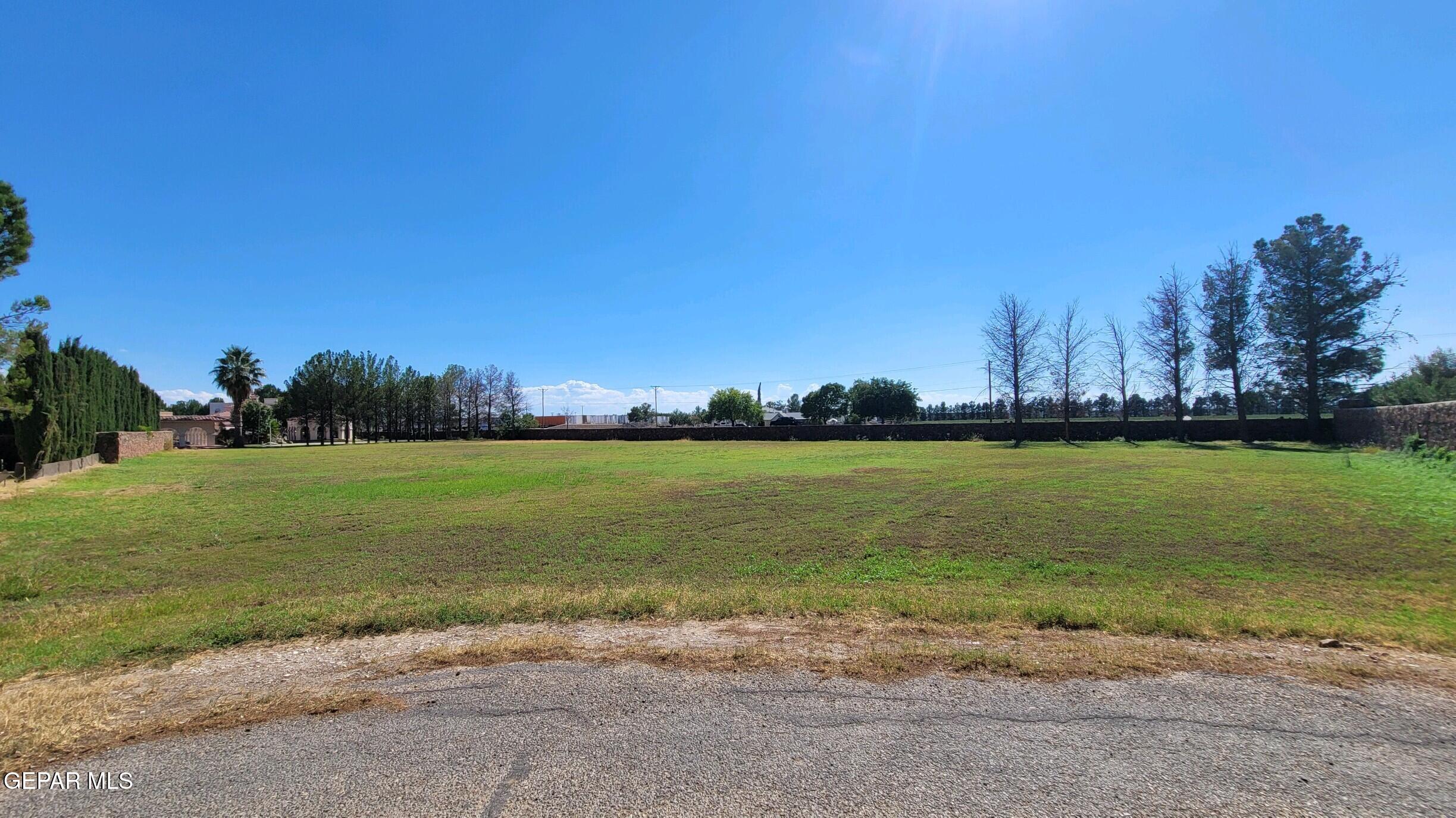 a view of a field with grass and trees