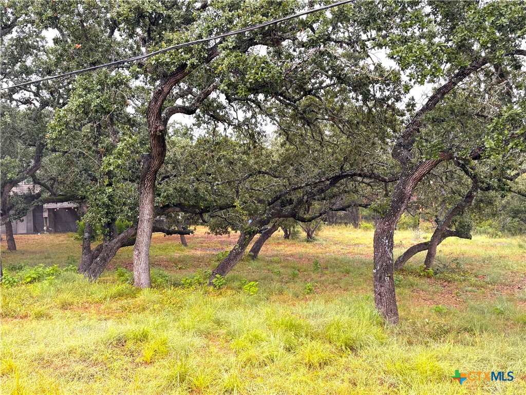 a view of an empty room with yard