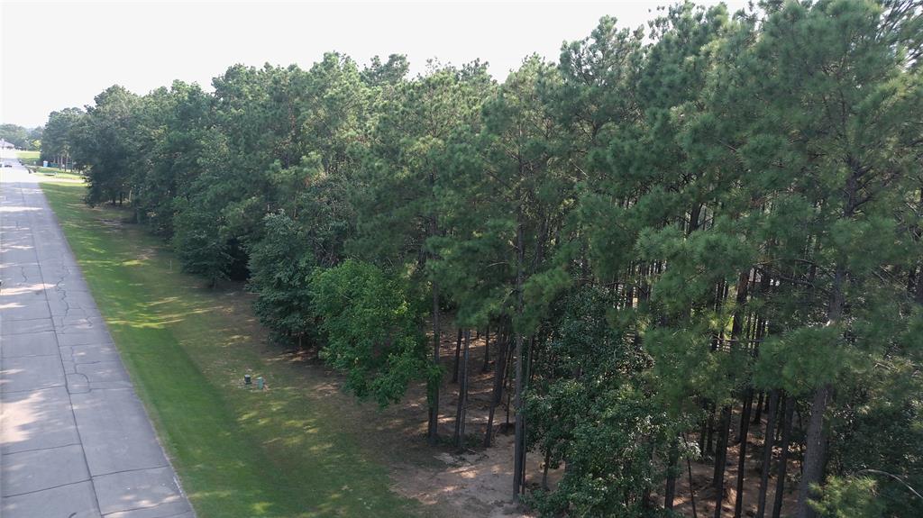 a view of a pathway both side of yard