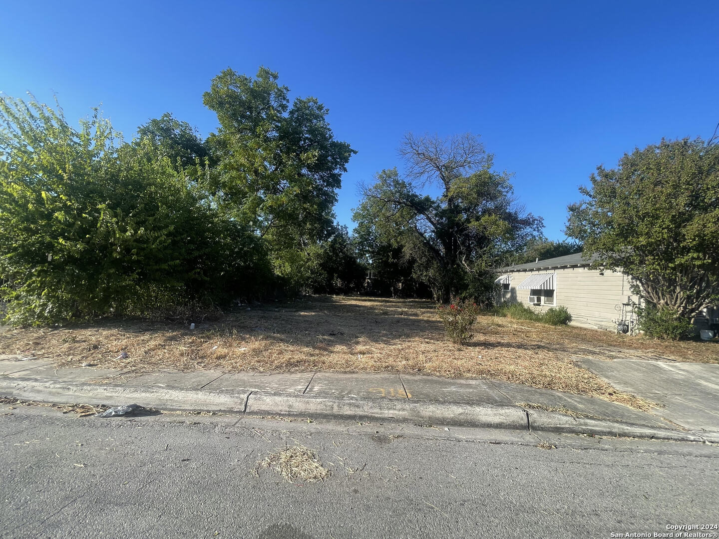 a view of backyard of house