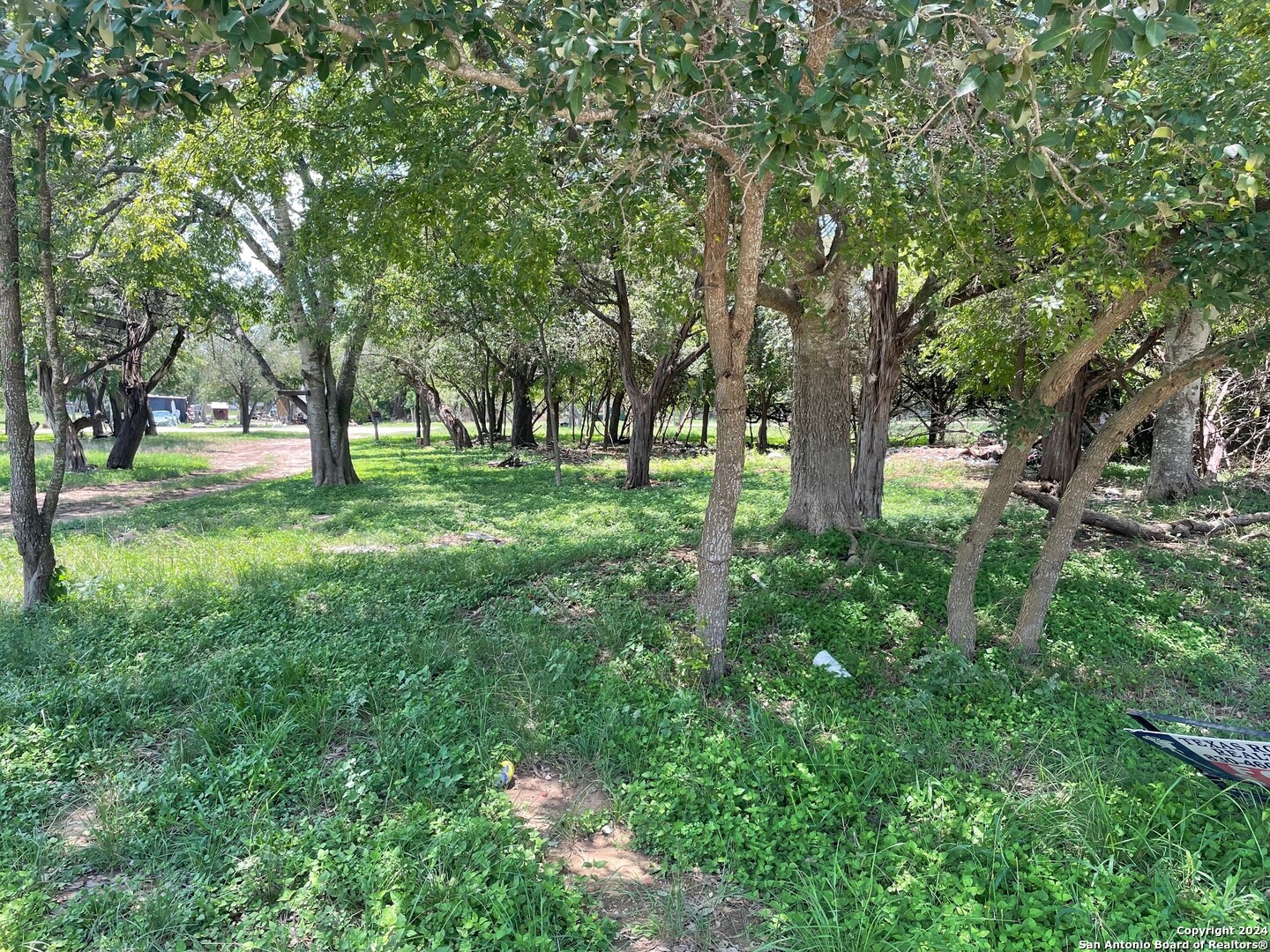 a view of a yard with a tree