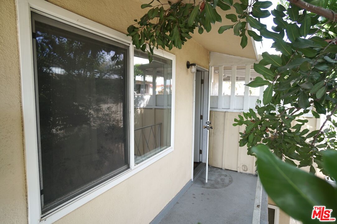 a view of a glass door with a tree