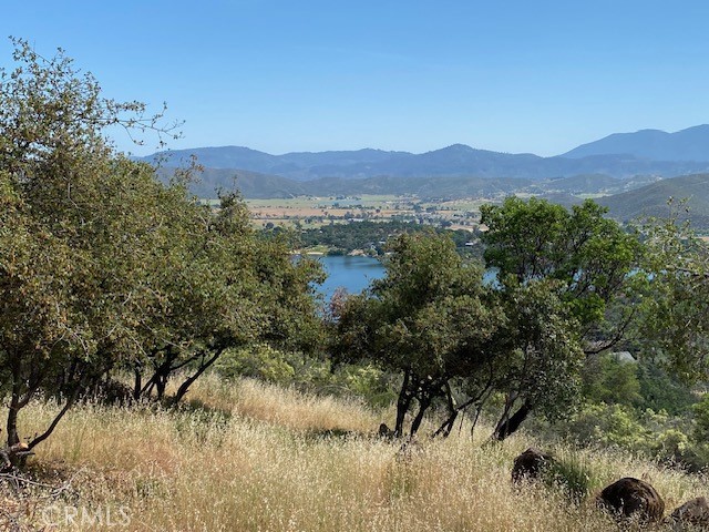 a view of a lush green field with mountains in the background