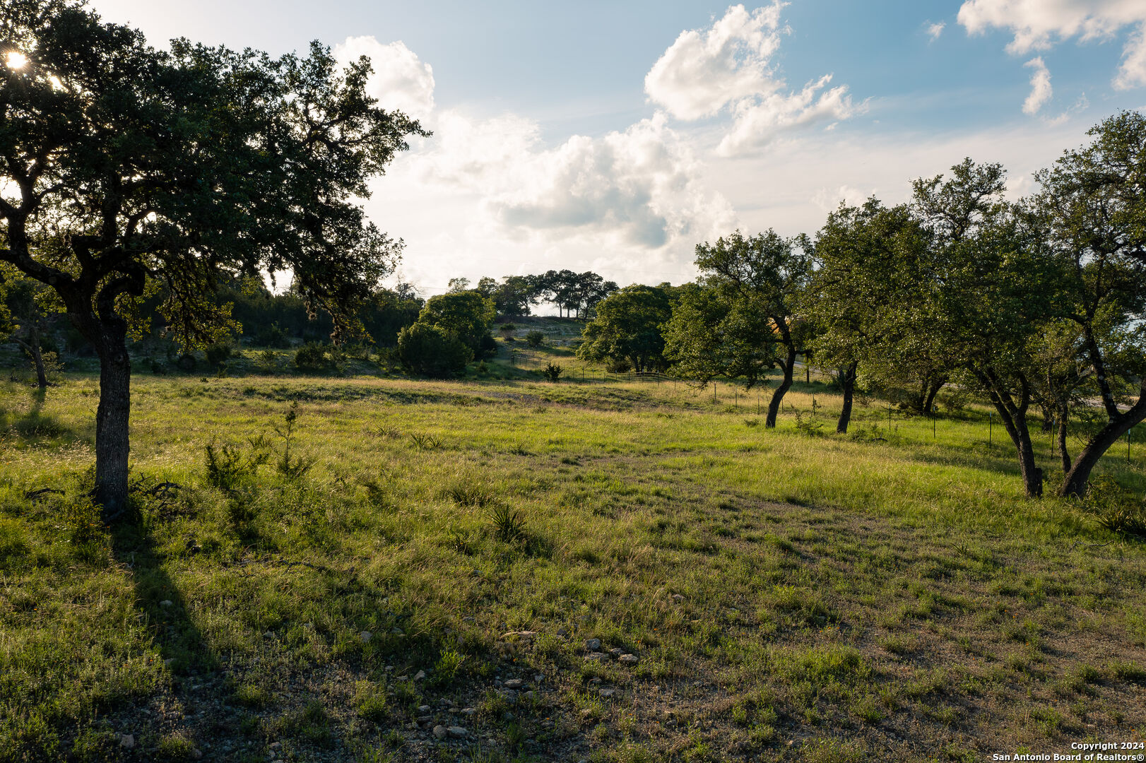 a view of outdoor space with trees all around