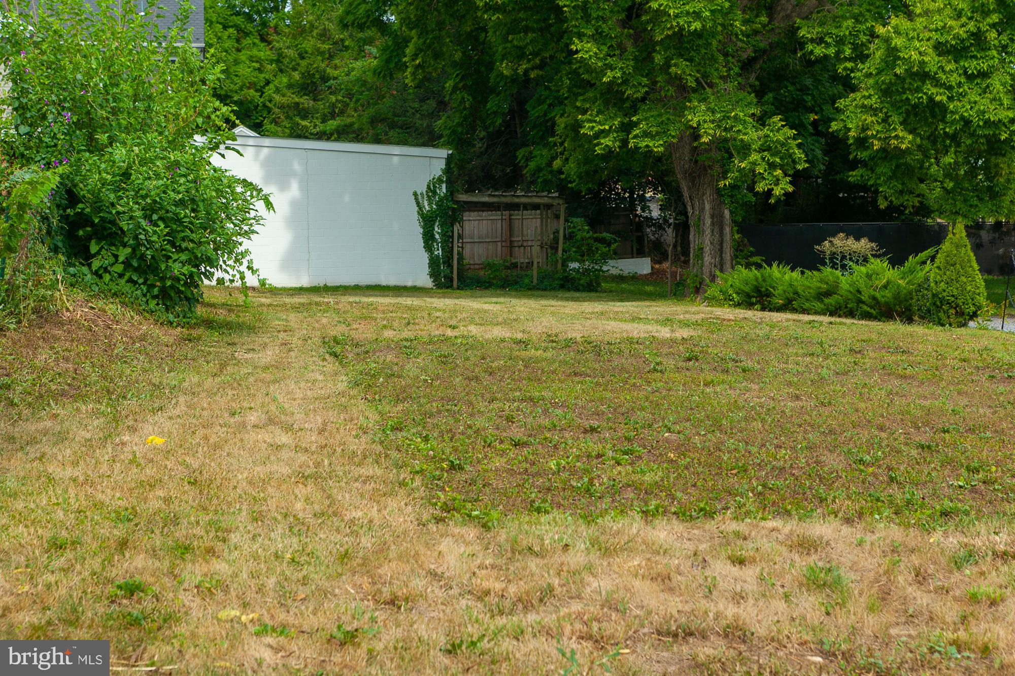 a view of a backyard