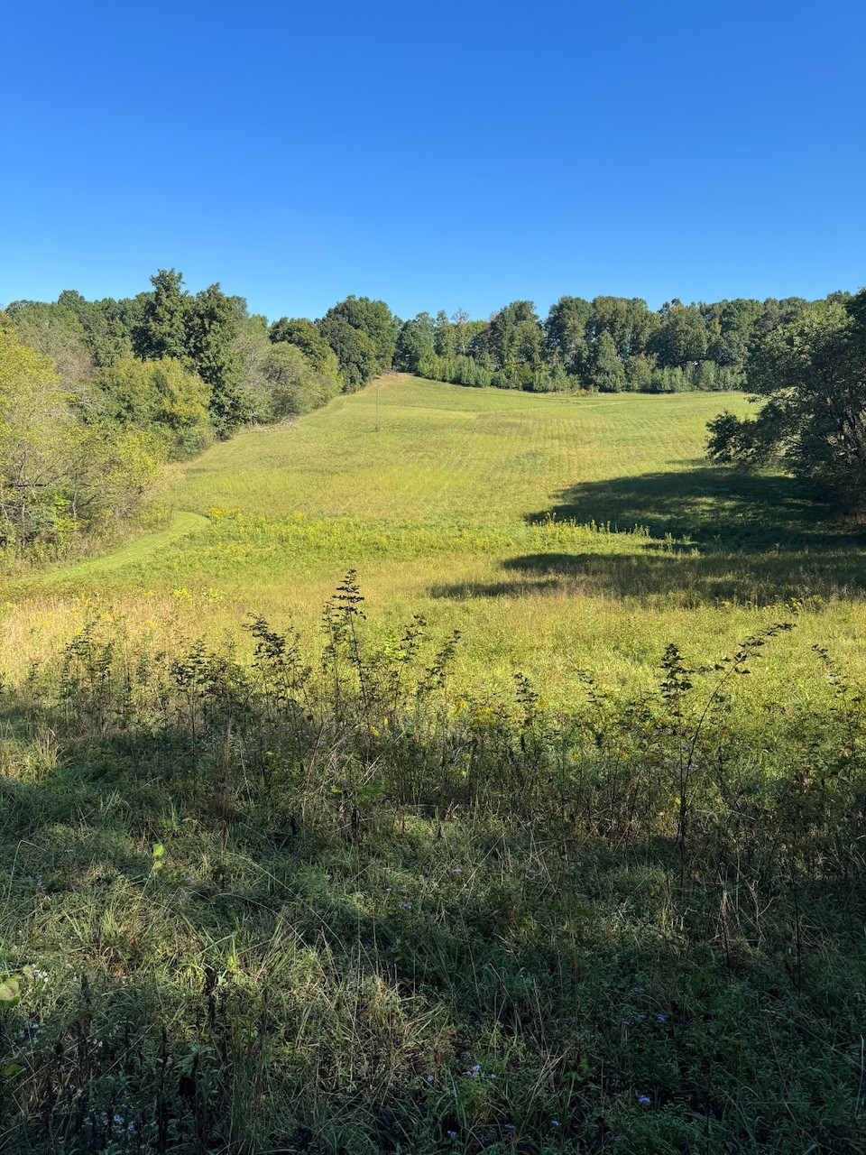 Welcome to 1525A E Piney Rd! A beautiful piece of Middle Tennessee, lush and rolling ,awaits your new home!