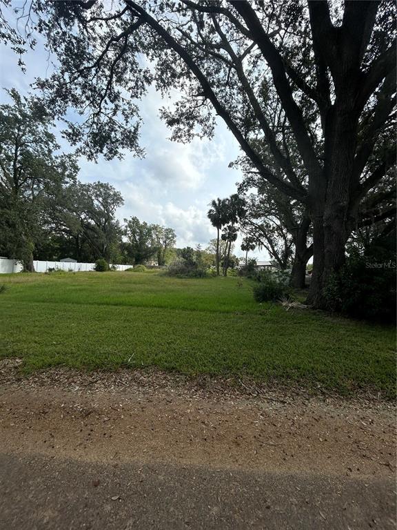 a view of a park