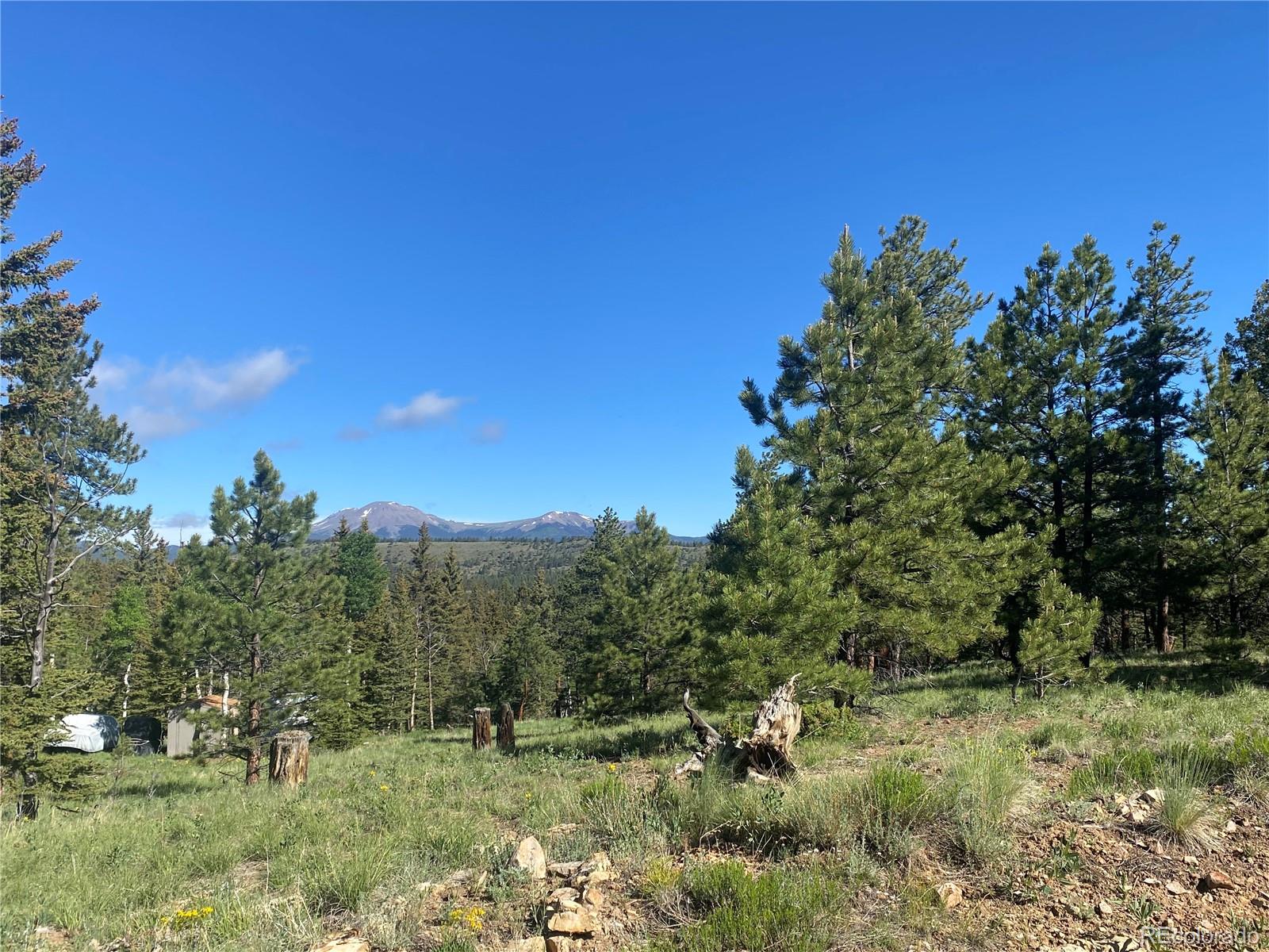 a view of a field with trees in the background