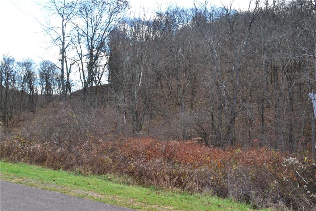 a view of a dry yard with trees