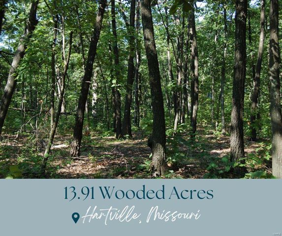 $59,500 | 0 Creek Road | Wood Township - Wright County