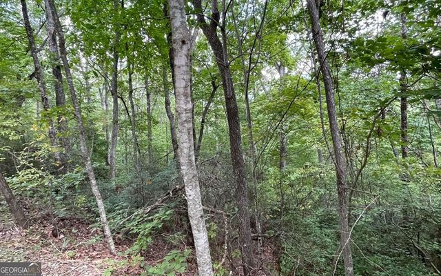 $32,900 | Lot 20 Enchanted Ridge | Hiawassee Township - Clay County