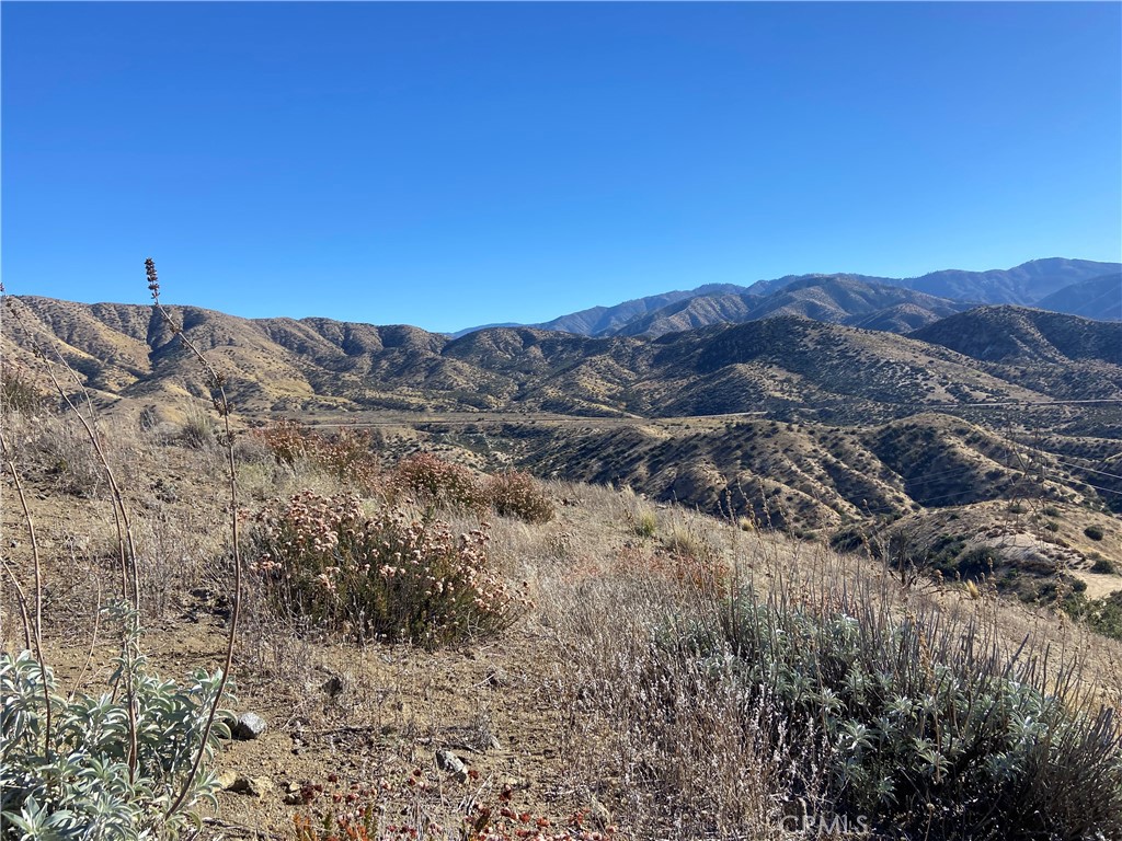 a view of a dry yard with mountains in the background