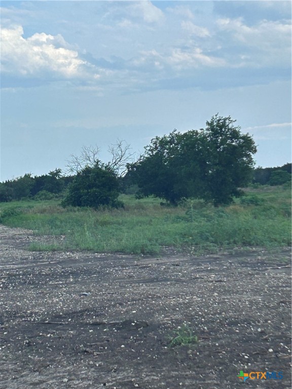 a view of a field with trees in background